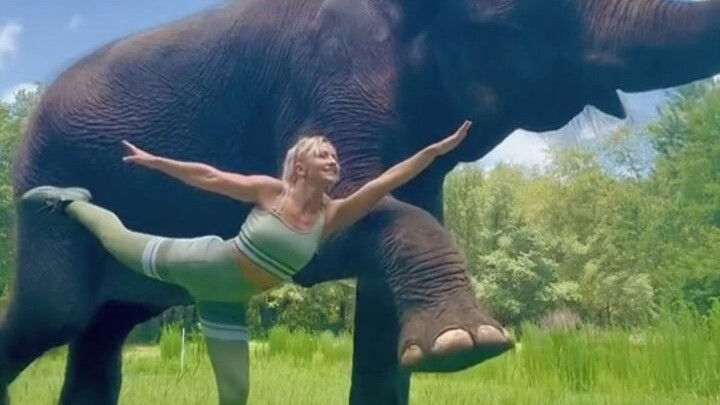 The giant elephant who grew up alongside the girl is now 48 years old.