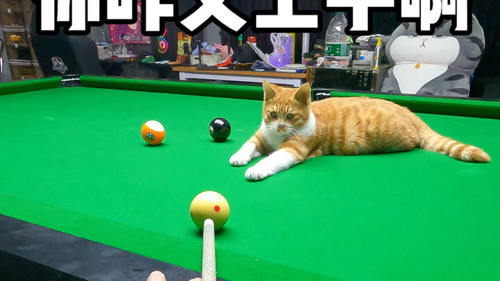 وأخيرًا، جاء Black Eight، أليس كذلك؟