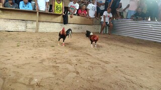 my 10 months old vs. 2 years ,, nakatsamba 😅😁
