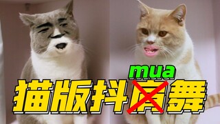【Tarian Mengangkat Bahu Kucing Lucu】Benar-benar Berubah Menjadi Kucing Alat, Menyembuhkan! Miliaran 