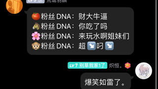 When you play the original music of Chinese Boy on NetEase Cloud...the family members are so hilario