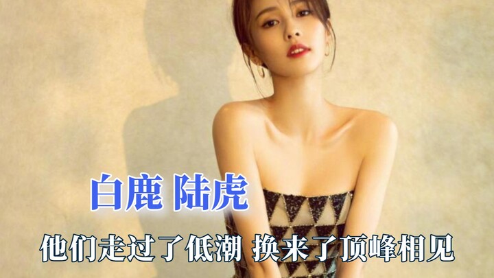At Lu Hu’s wedding, Bai Lu’s eyes were red from crying—everyone thought it was for show, but it turn
