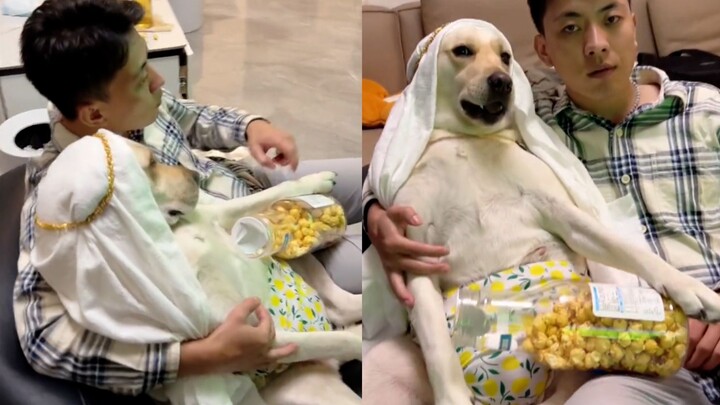 Husband hugs his dog while watching the World Cup together—netizens jokingly tease how happily the t