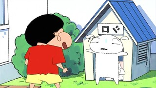 没想到小白有一天也要结婚了，马铃薯家要增加新成员了嘛？