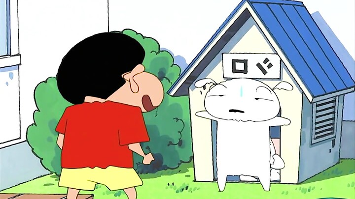 没想到小白有一天也要结婚了，马铃薯家要增加新成员了嘛？