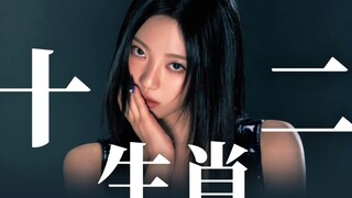 中国人，中国魂！用十二生肖来开启宁艺卓