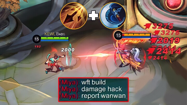 WTF DAMAGE!! WANWAN CRIT BUILD IS HERE ( new upgrade )