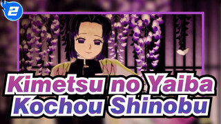 Kimetsu no Yaiba|【Kochou Shinobu】Fuzei Perempuan/Kupu-Kupu Shinobu_2