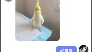 ?????