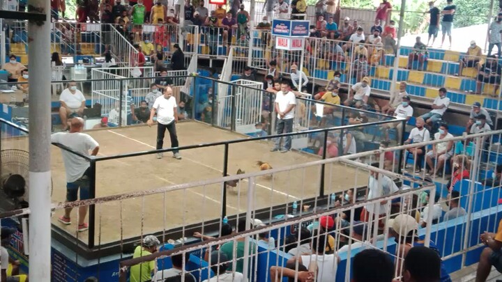 2 hits ulotan 0-1 standing 😁  using melsim x ormoc gold   #samarboy