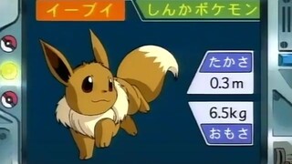 オーキド博士のポケモン講座(イーブイ)