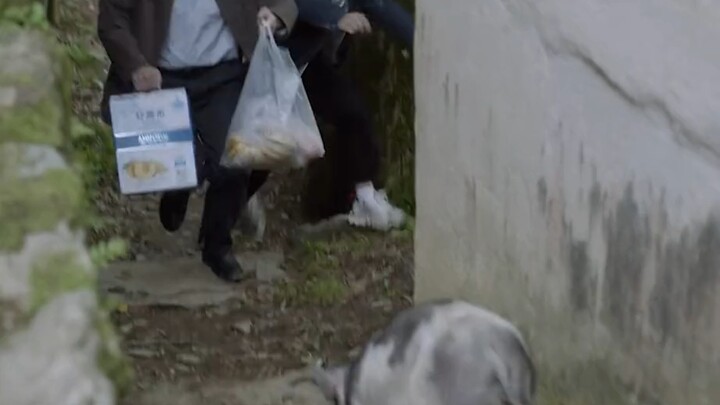 Good friendships really are the best medicine for healing life!