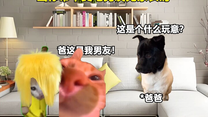 当你带个黄毛男友见家长时 #见家长#黄毛 #内容过于真实 #猫Meme