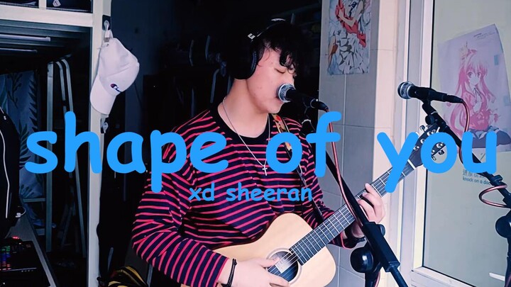 【吉他loop翻唱】《shape of you》——Ed Sheeran