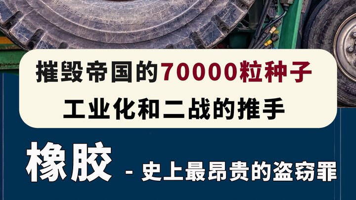 ทำลายจักรวรรดิกล้วย ปลูกจักรวรรดิรถยนต์ด้วยเมล็ดยางพารา 70,000 เมล็ด