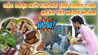 MÓN ĂN NGÀY TẾT 》#6 Các Món Mứt không thể thiếu giúp ngày TẾT NGỌT NGÀO | Góc Quê Sài Gòn