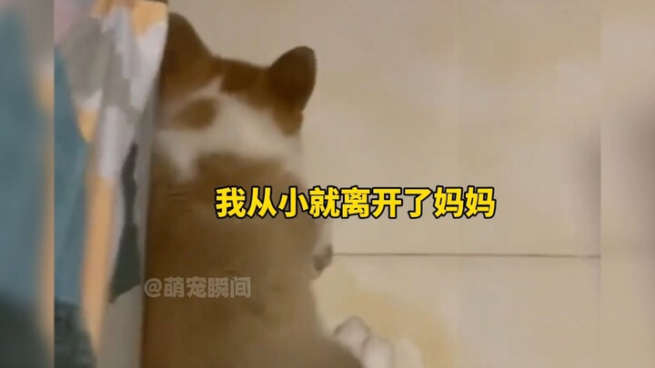 “โกรธยังน่ารักขนาดนี้”