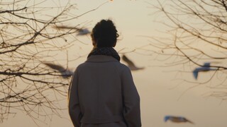 Dali Cultural Travel Short Film [Walking in Dali]