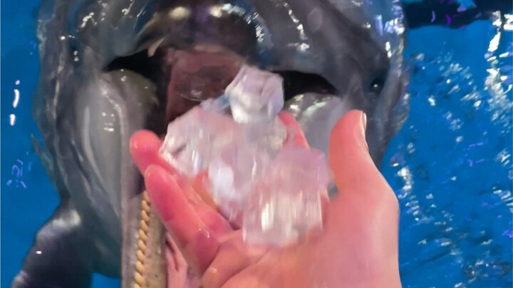 อาหารพร้อมแล้ว