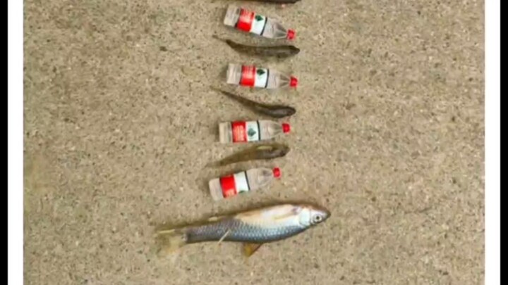 วันนี้ปลาติดดีเลย!