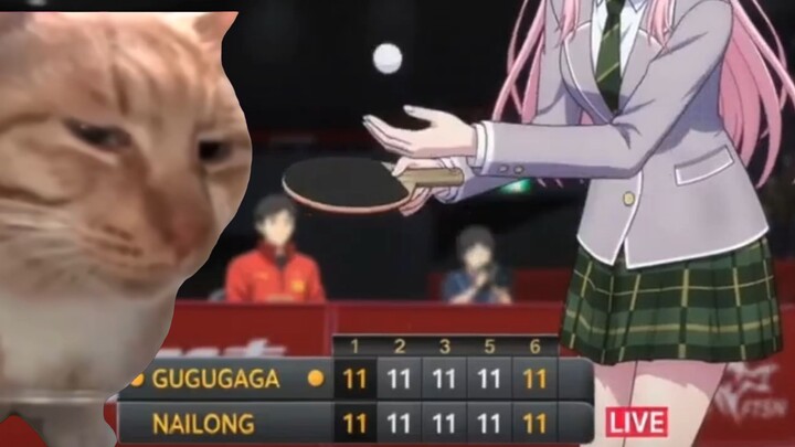 มาสัมผัสกันแบบชัดๆ ว่า Seedance 2.0 ทำให้สมองตื้อขนาดไหน!