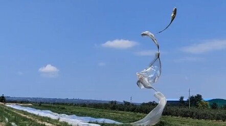 Đây là lời triệu hồi ngàn năm của ai, đang chờ đợi ai vậy?