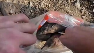 هنا تصل الشمس، ولن تشعر بالبرد في الشتاء!