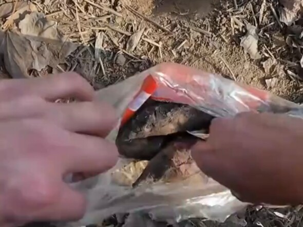 هنا تصل الشمس، ولن تشعر بالبرد في الشتاء!