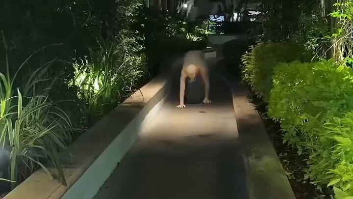 Chó này có cắn người không?