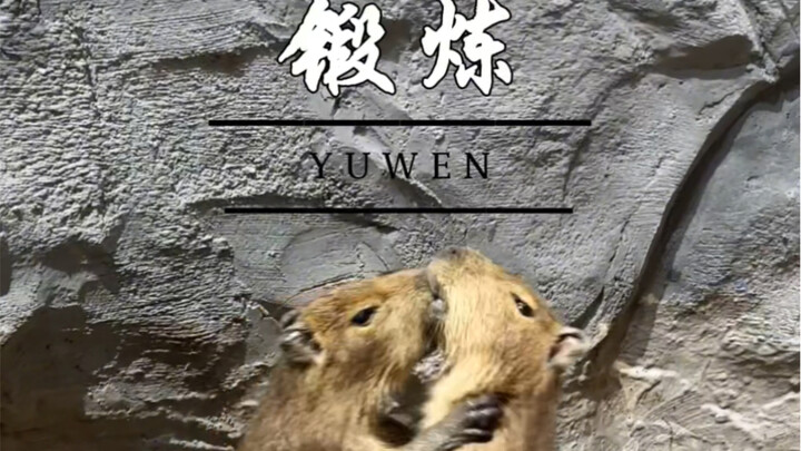 What’s so special about capybaras being featured in textbooks!