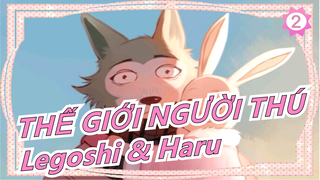 [THẾ GIỚI NGƯỜI THÚ] Legoshi & Haru: Tất cả những gì tôi thấy đều nhắc tôi về bạn_2