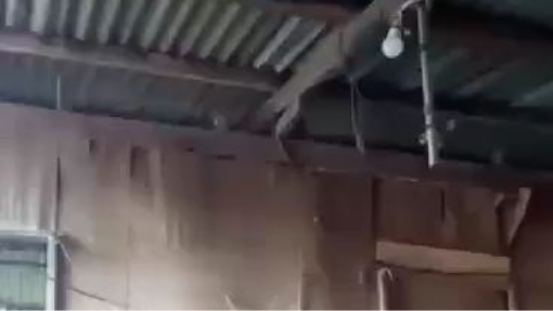rebel
