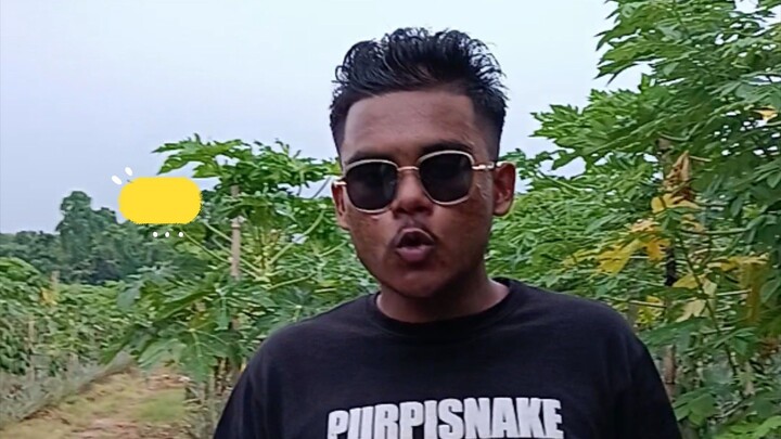 আনারস খেতে আনারস নাই