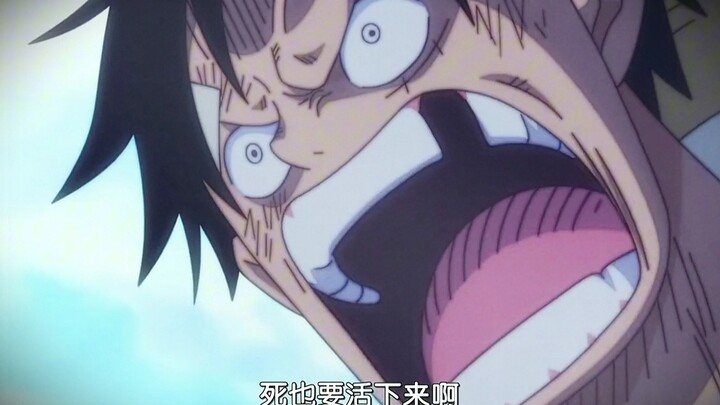 “How could a man who aspires to be a crew member of One Piece fear mere Four Emperors?”