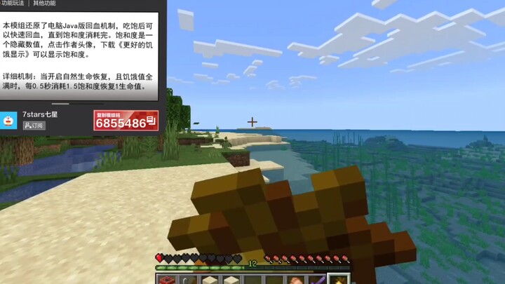 I only used 13 mods to turn NetEase into Java in an instant!