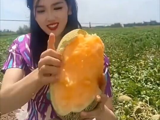 Cô gái Tân Cương chia sẻ dưa hấu Hami địa phương, bóc vỏ bằng tay mới là cách thưởng thức đúng chuẩn