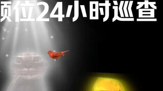 "Earth OL｜Bird Clothes"——Bird Short Story