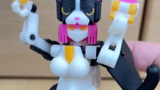 这小猫真有意思