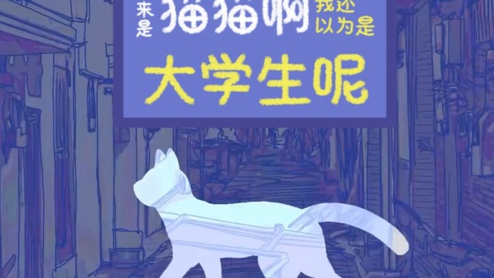 【描改手书】原来是大学生啊 还以为是猫猫