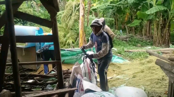 SAWI KOSNADI 🐮