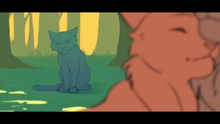 Baby Shoes-Mini Ashfur AMV