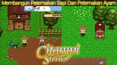 Akhirnya Punya Peternakan Sapi Dan Peternakan Ayam |Citampi Stories Part 61