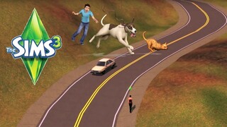 HOW BIG IS THE MAP in The Sims 3: Pets? Walk Across the Map