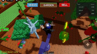 I'm playing grow a garden