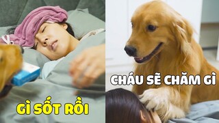 Lộ Hố | Dì Đừng Lo Lắng, Cháu Sẽ Chăm Dì Nhé 😥 Gâu Đần Official