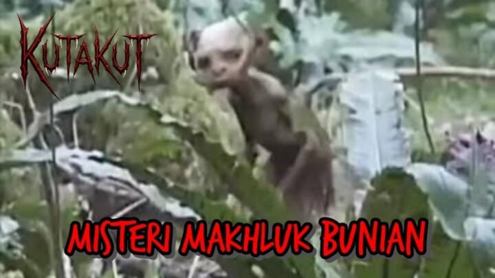[Cerita Misteri] KUTAKUT - MISTERI MAKHLUK BUNIAN