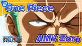 [One Piece AMV] Zoro: What I Have to Burden Leads to What I Want to Get_2