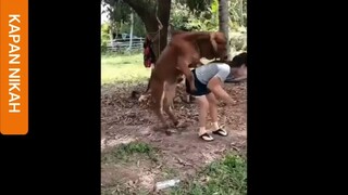 loose motion 🤣😂