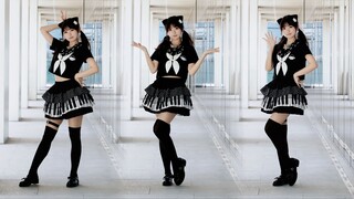 【Ngữ Tịch】Bước đi nhẹ nhàng của mèo ❤️ Liệu chú mèo nhỏ có thể nhảy vào trái tim bạn không? Như một 