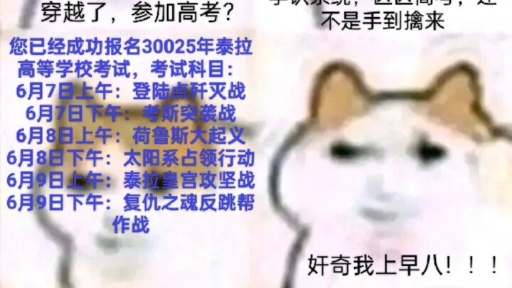 磁场多元宇宙•猫龙高危预警